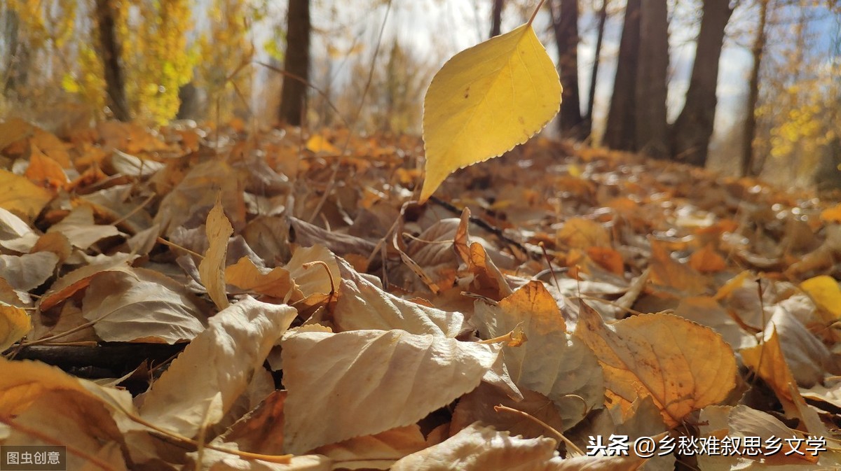 落叶是疲倦的蝴蝶赏析（关于蝴蝶的唯美短句）