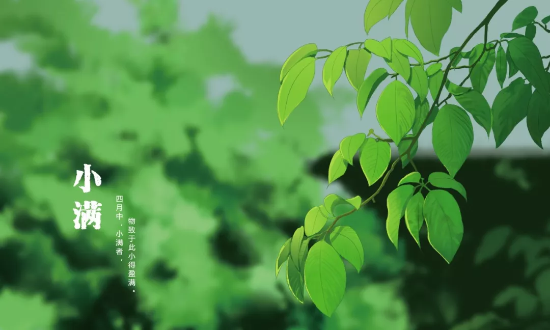 描写小满的诗句（关于小满的著名诗句）