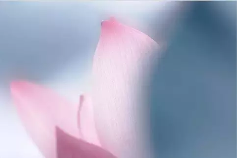 短古诗又好记又好背（11首简短优美古诗词）