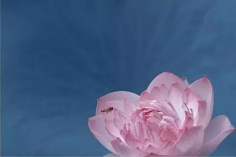 短古诗又好记又好背（11首简短优美古诗词）