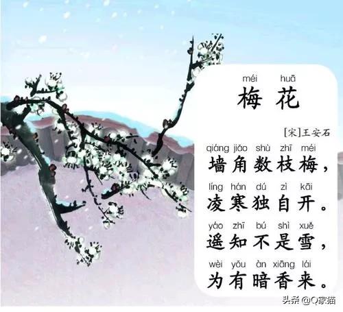 小学描写冬天的诗句（盘点小学必背冬天诗句）
