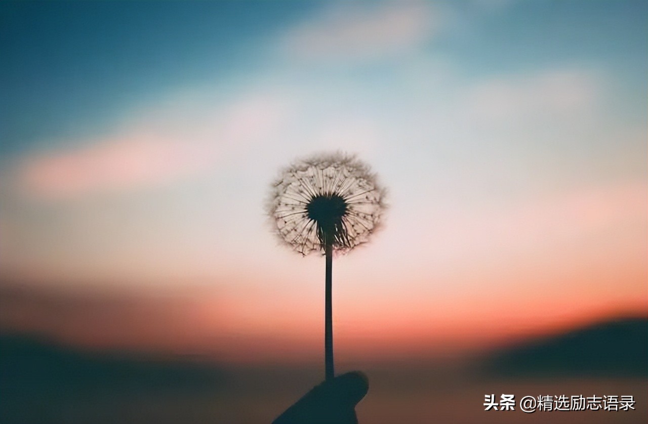形容家的温暖的句子（一句简单晒幸福的句子）