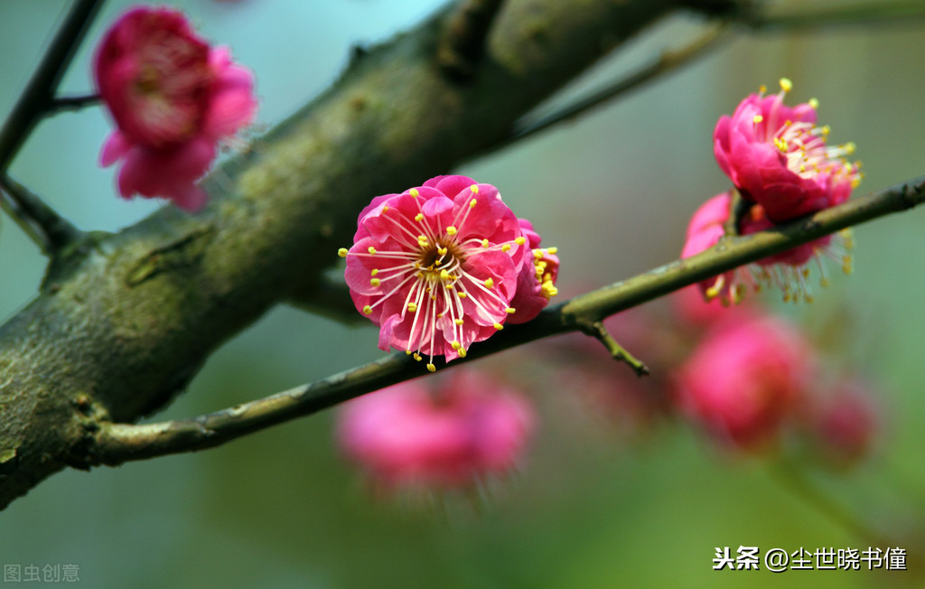 形容不得志的诗句（人生不得志压抑的诗句）