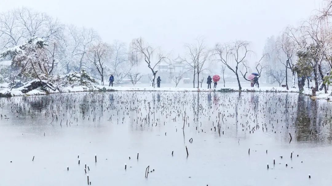 关于雪的诗歌有哪些（描写雪的经典诗词）