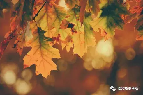 蜀道难原文及翻译（蜀道难的主旨是什么）