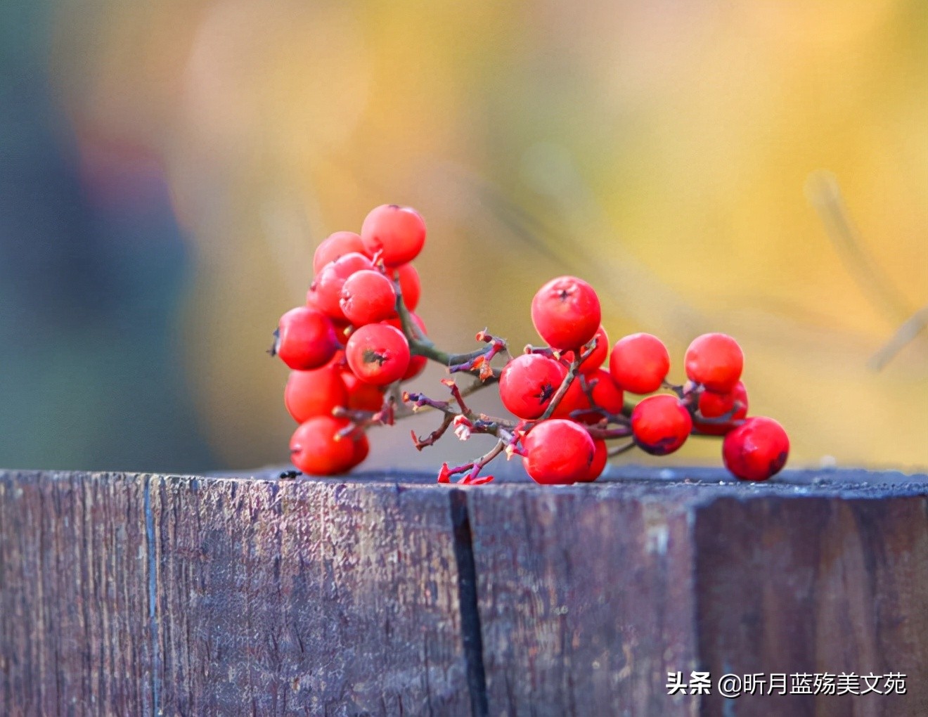 往后余生幸福的句子（往后余生的经典短句子）