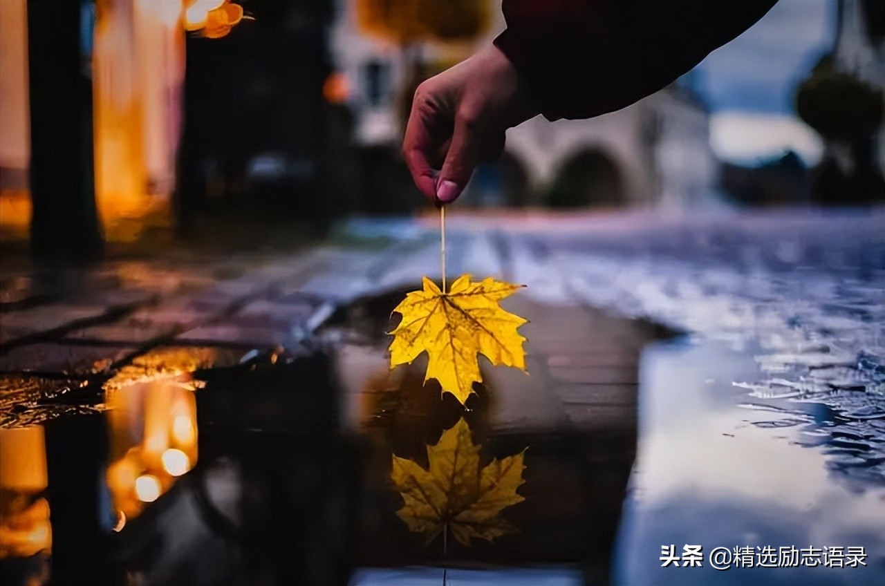 形容家的温暖的句子（一句简单晒幸福的句子）
