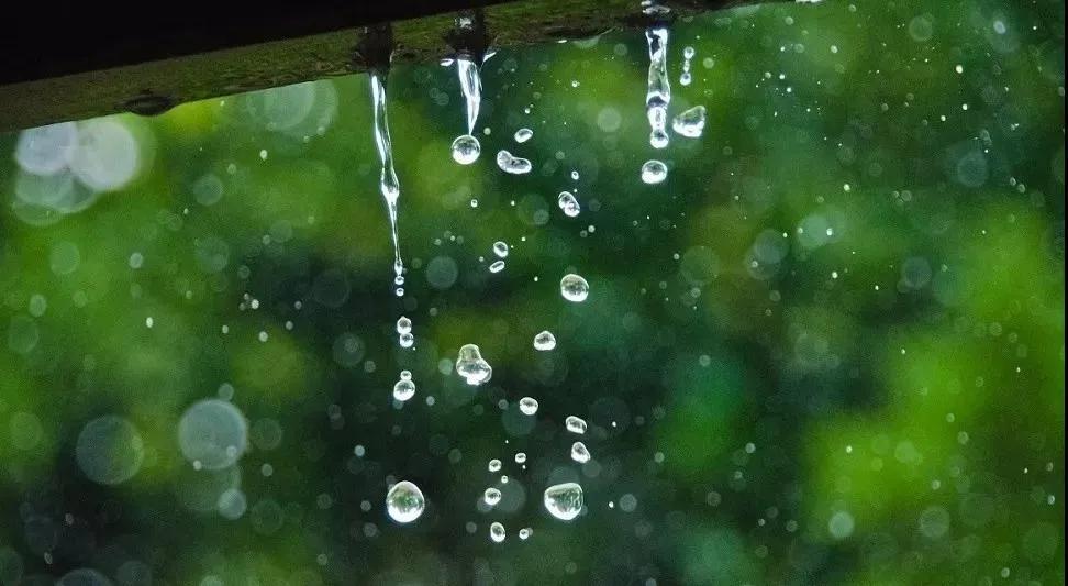 雨中漫步的唯美句子（写雨中漫步的唯美诗句）