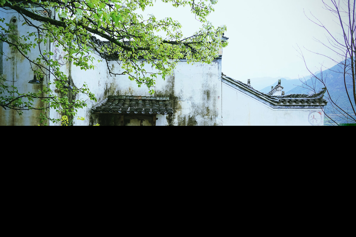 励志追求梦想的诗句（形容努力追梦的诗句）