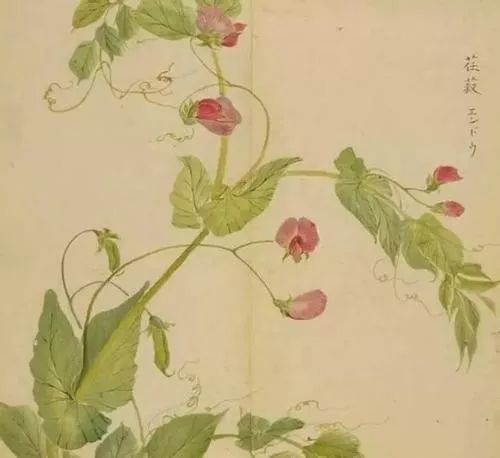 古诗词300首简短（欣赏古诗大全）