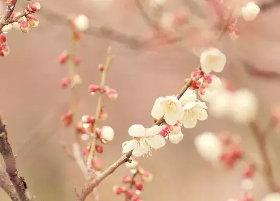 心有阳光唯美句子图片（正能量阳光清新的心情说说）