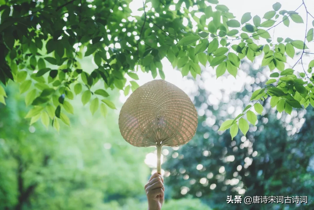 立夏诗句古诗大全（描写立夏的优美句子）