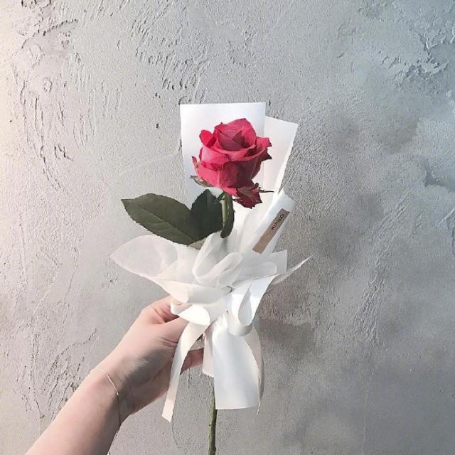 干净治愈的说说短句（最值分享的治愈系短句）