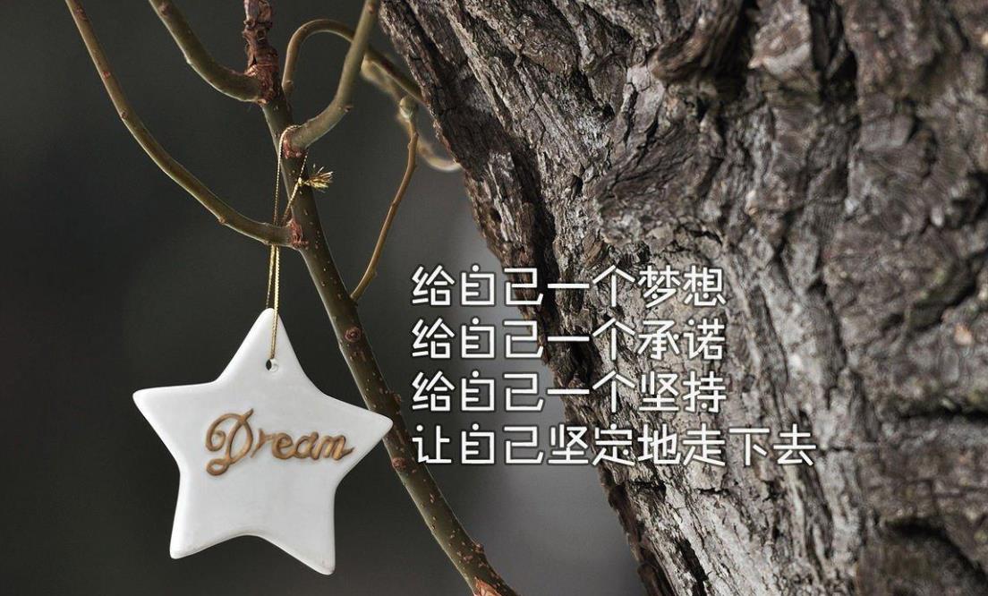 日精进努力工作的句子（每天日精进正能量的句子）
