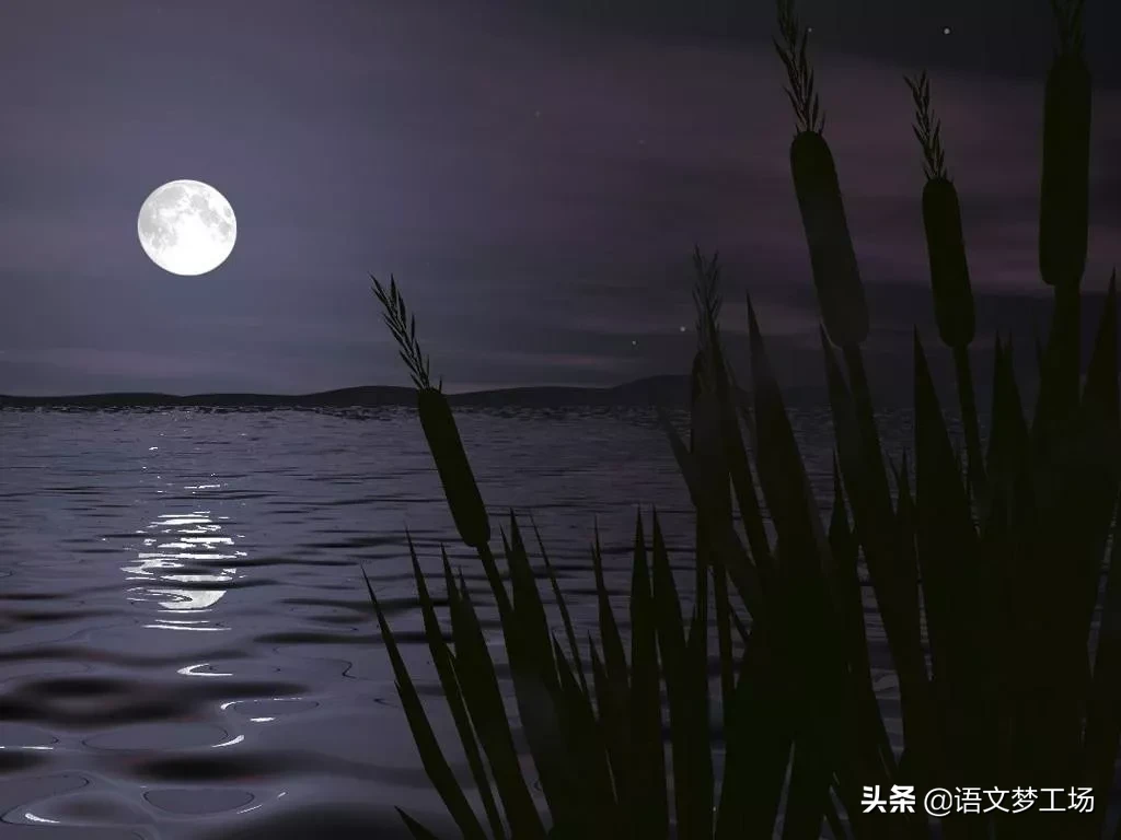 苏轼水调歌头明月几时有赏析（水调歌头赏析及内容释义）