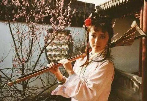 葬花吟赏析100字（林黛玉的生命绝唱）