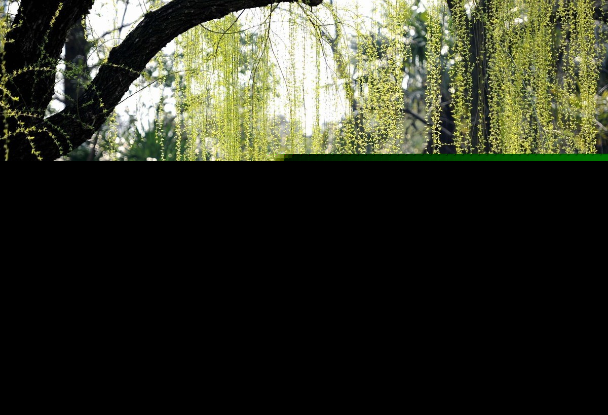 阙题刘昚虚古诗（阙题全文解析和主旨）