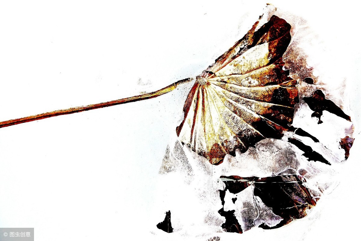 虞美人李煜赏析（虞美人创作背景及手法分析）