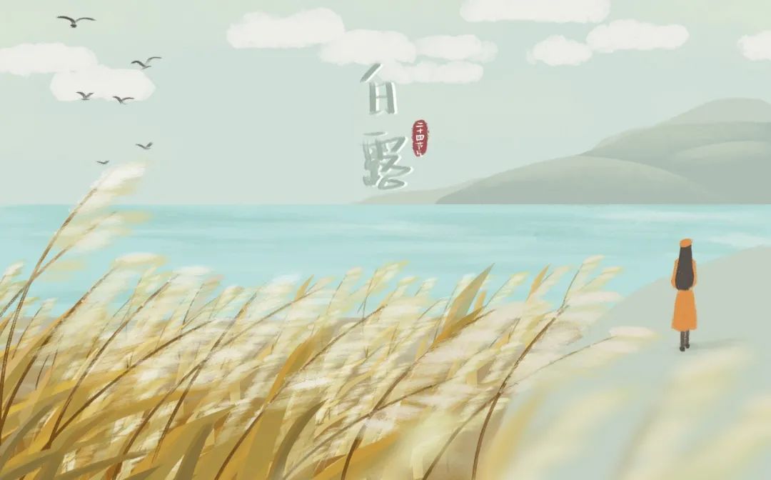 白露诗句古诗大全（描写白露的诗词句子）