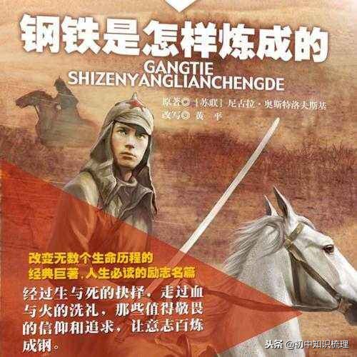 钢铁是怎样炼成的笔记（好词好句摘抄及赏析）