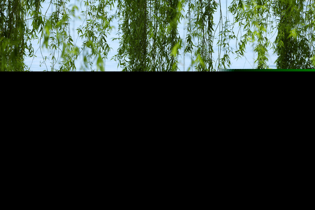 春游湖古诗意思（春游湖古诗赏析答案）