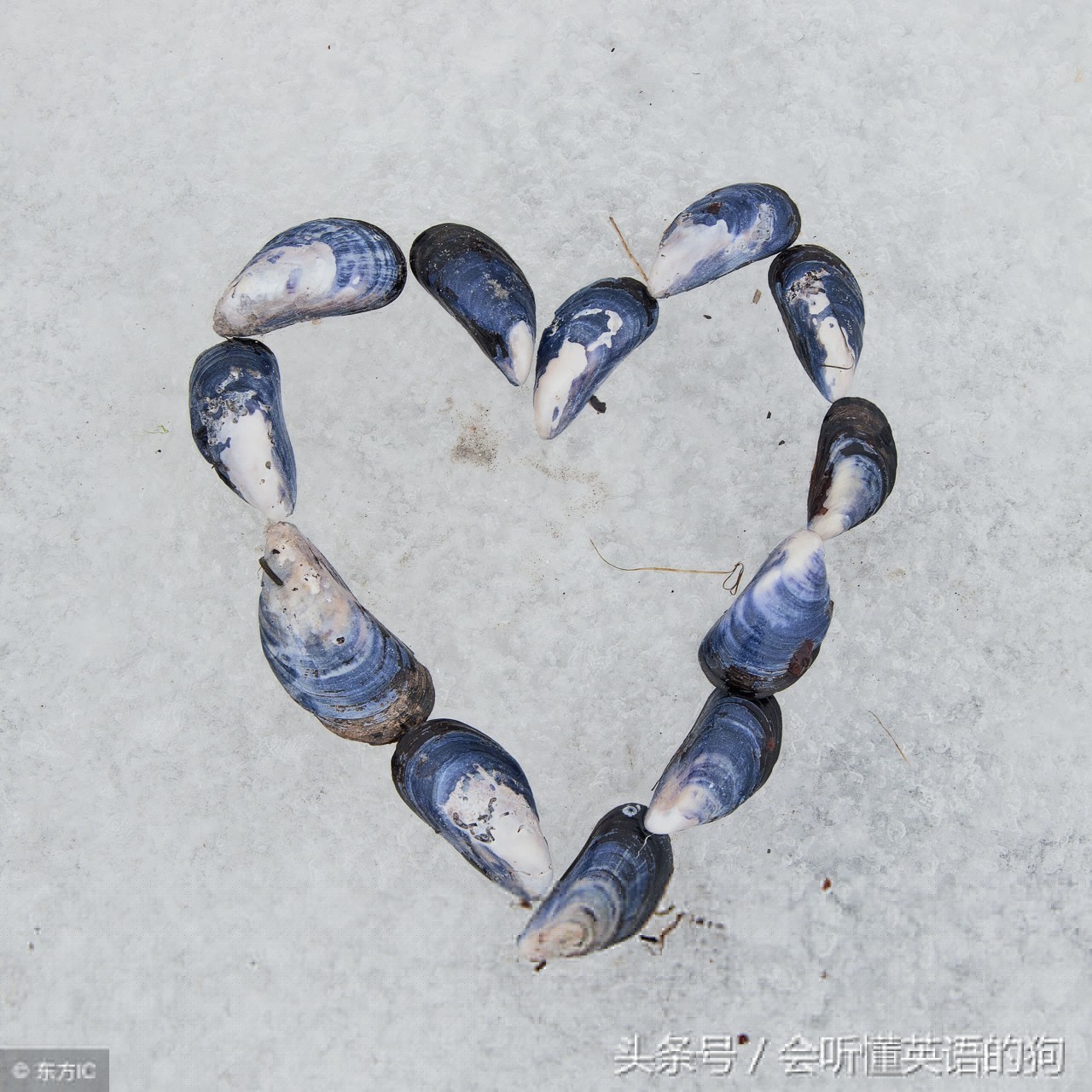 英文适合表白的句子（英语表白情话短句）