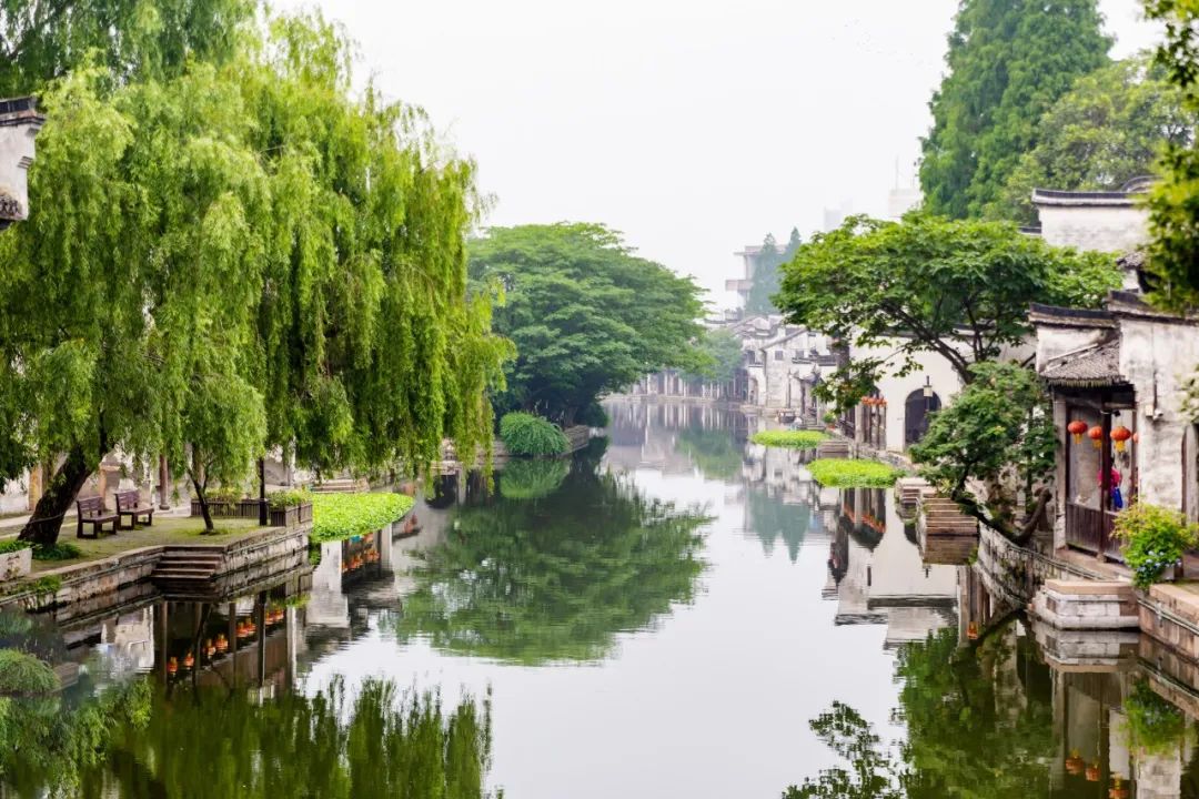 清明节诗句经典古诗（清明节优美段落摘抄）