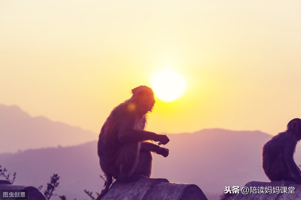 形容景色优美的句子(赞美大自然美景的心情说说）