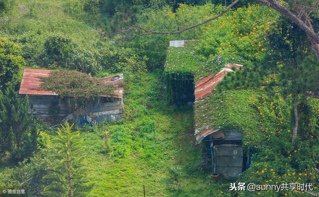 四时田园杂兴诗意思翻译（古诗赏析及全文大意）
