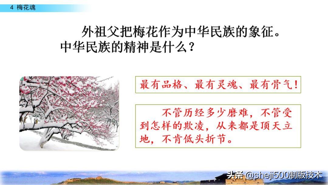 课文梅花魂指的是什么（梅花魂全文知识）