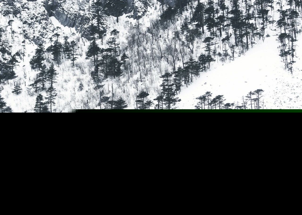 雪诗句古诗大全（描写雪的诗词名句 ）