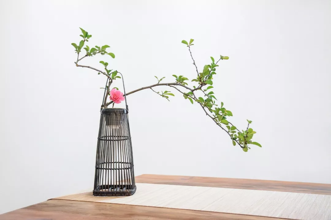 师说原文及翻译（师说全文解析）