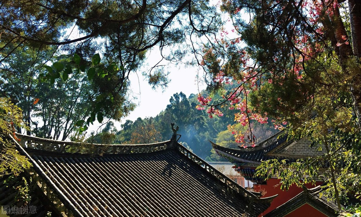 大林寺桃花古诗带拼音（大林寺桃花全文鉴赏）