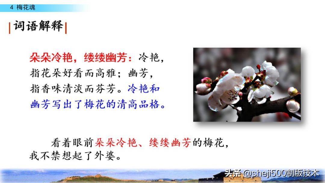 课文梅花魂指的是什么（梅花魂全文知识）