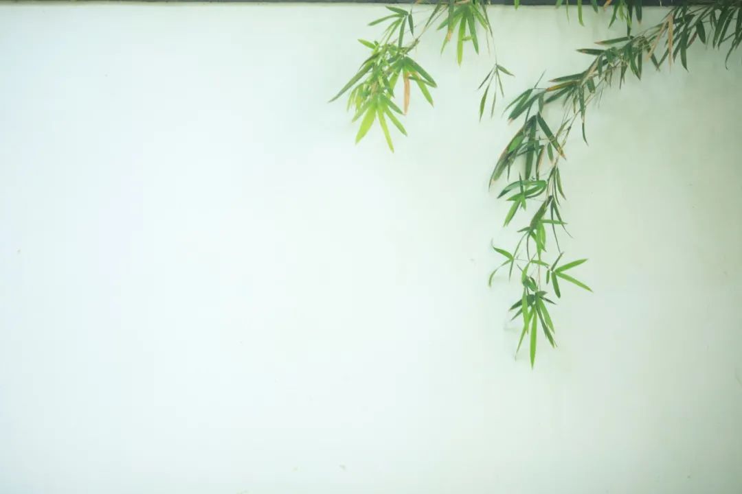 惊艳了时光优美句子名人（享受岁月美好时光的古诗）