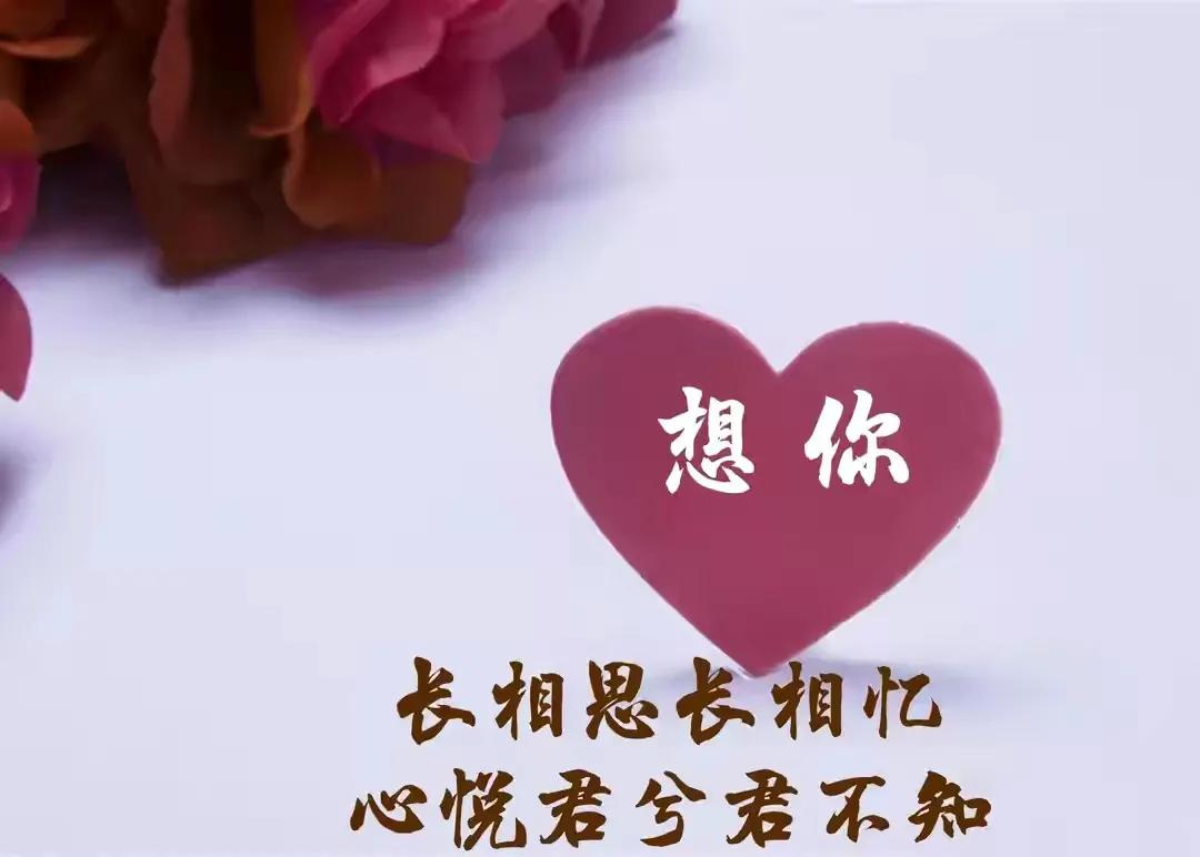 爱你想你的句子最感人（让对方看到心疼的句子）
