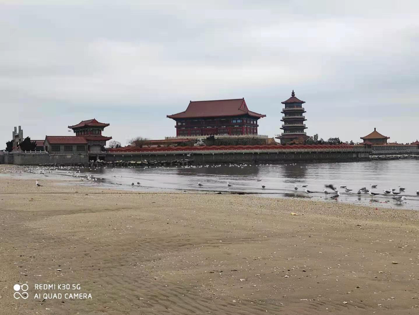 赞美志愿者的句子（赞美志愿者的短文）