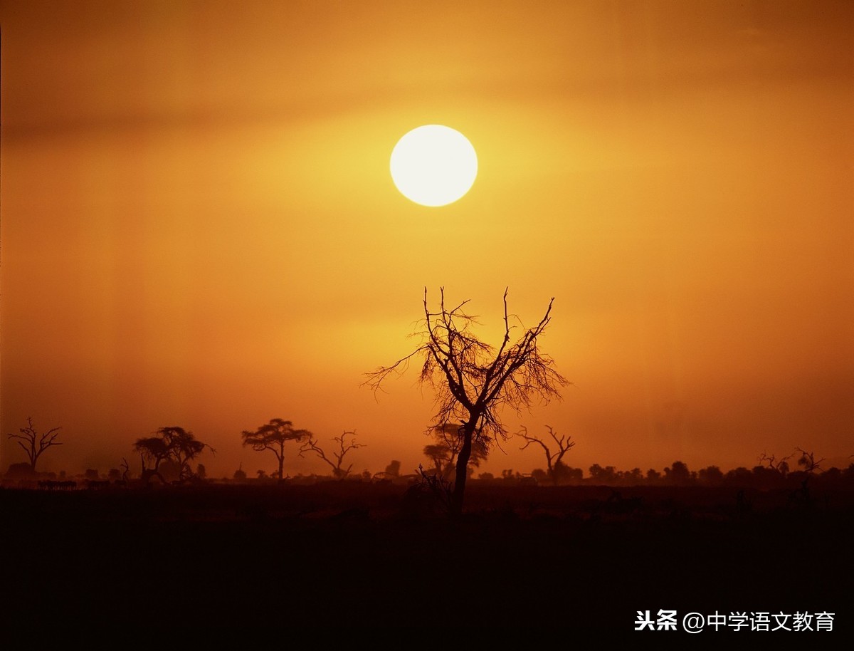 关于宽容的句子有哪些（分享23条宽容经典句子）