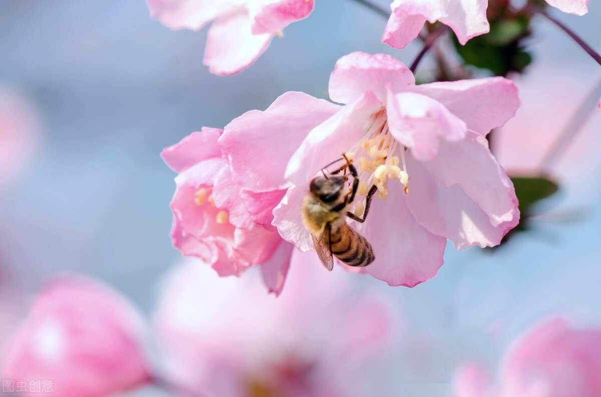 赞美教师的诗句有哪些（感恩教师的8句名诗）