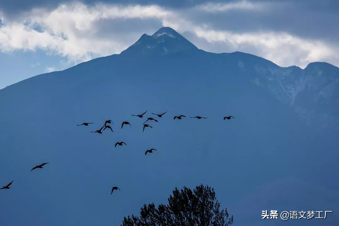 形容心情的诗句唯美（意境优美的古诗词短句）