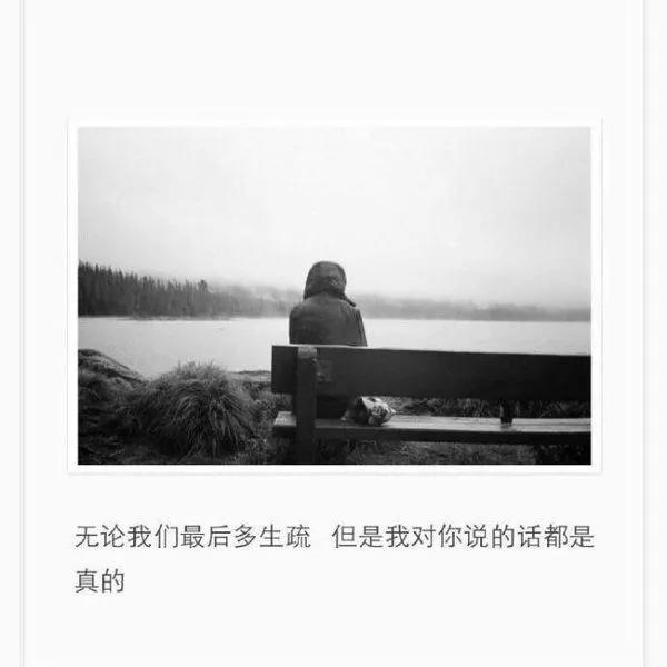 悲情故事有什么（让人哭到崩溃的爱情故事）