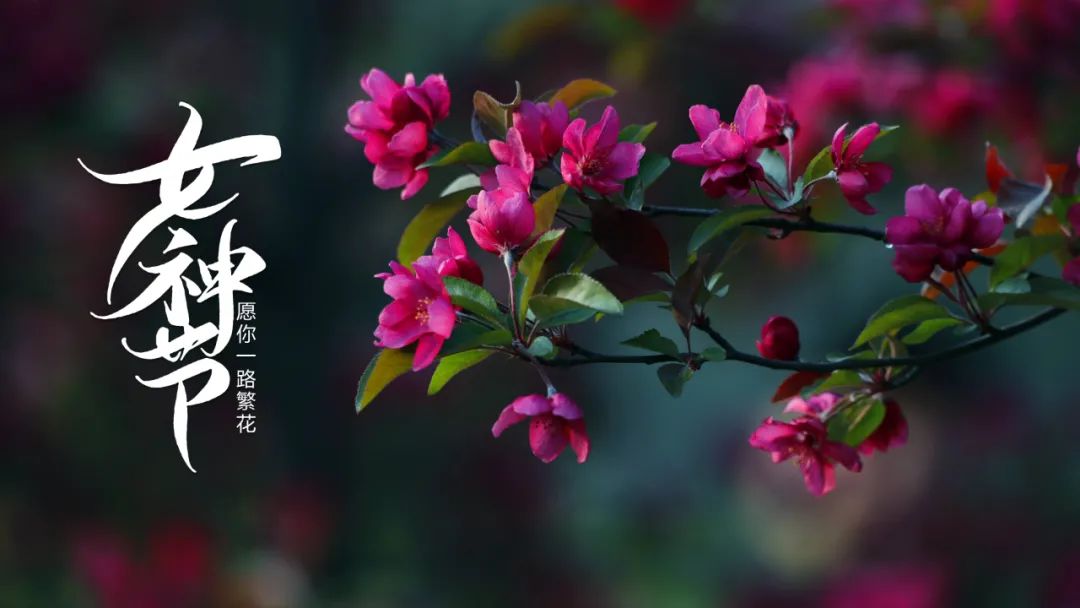万种风情唯美句子（赞美女人妩媚迷人的句子）