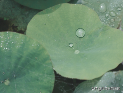 形容下雨天的句子（适合发朋友圈的32条雨后说说）