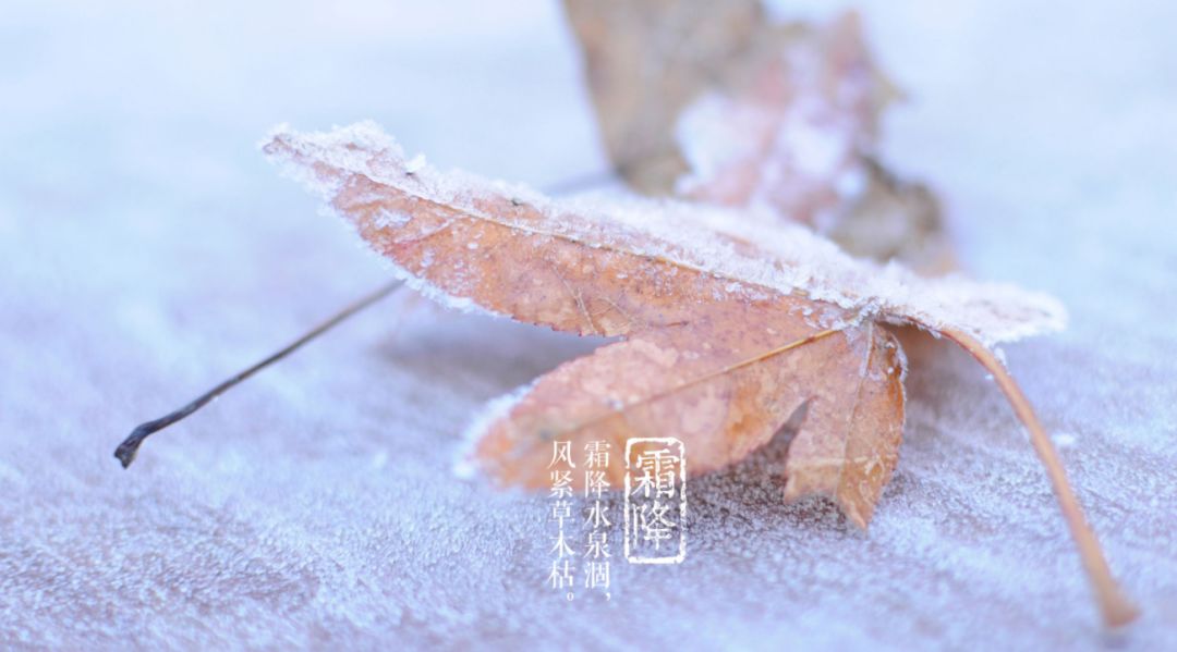 描写深秋的诗句（13首有关秋叶的诗句）