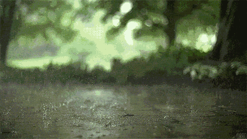 关于雨的诗句古诗大全（描写雨景的12首唯美意境诗）