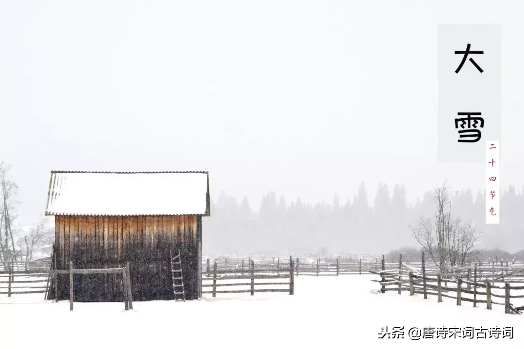 形容大雪纷飞的诗句（描写雪的诗句唯美 ）