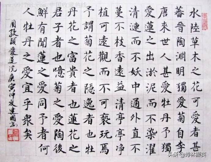 爱莲说作者简介拼音（爱莲说全文注释）