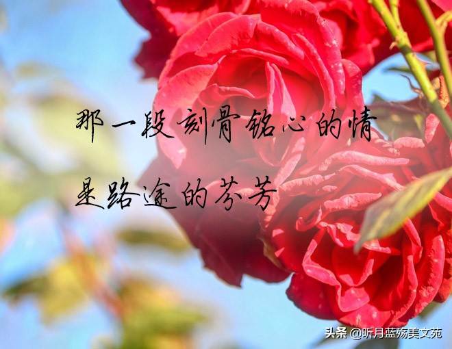 一切安好图片带字唯美（愿你一切安好唯美句子）