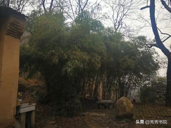 归园田居种豆南山下赏析（归园田居的内容）