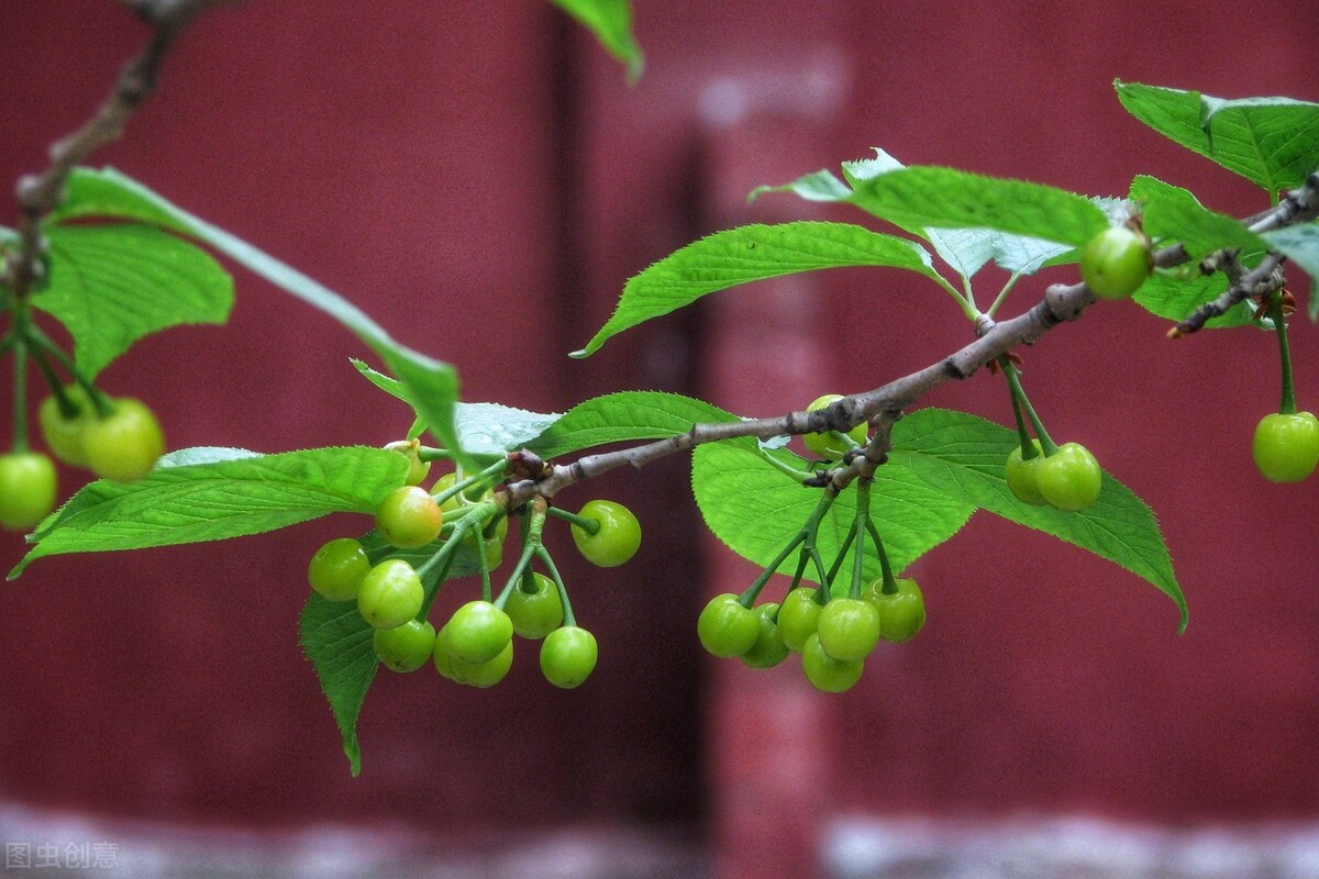 赞美教师的诗句和名言（古代赞美老师的诗句欣赏）